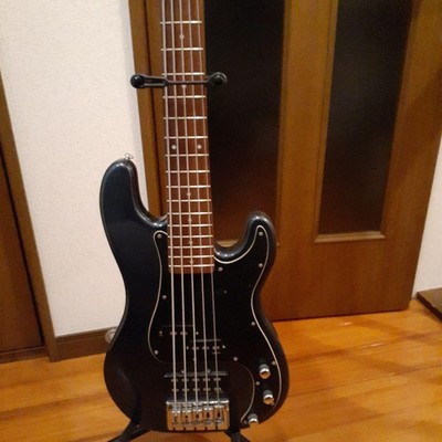 Schecter Diamond Series 5-String Electric Bass