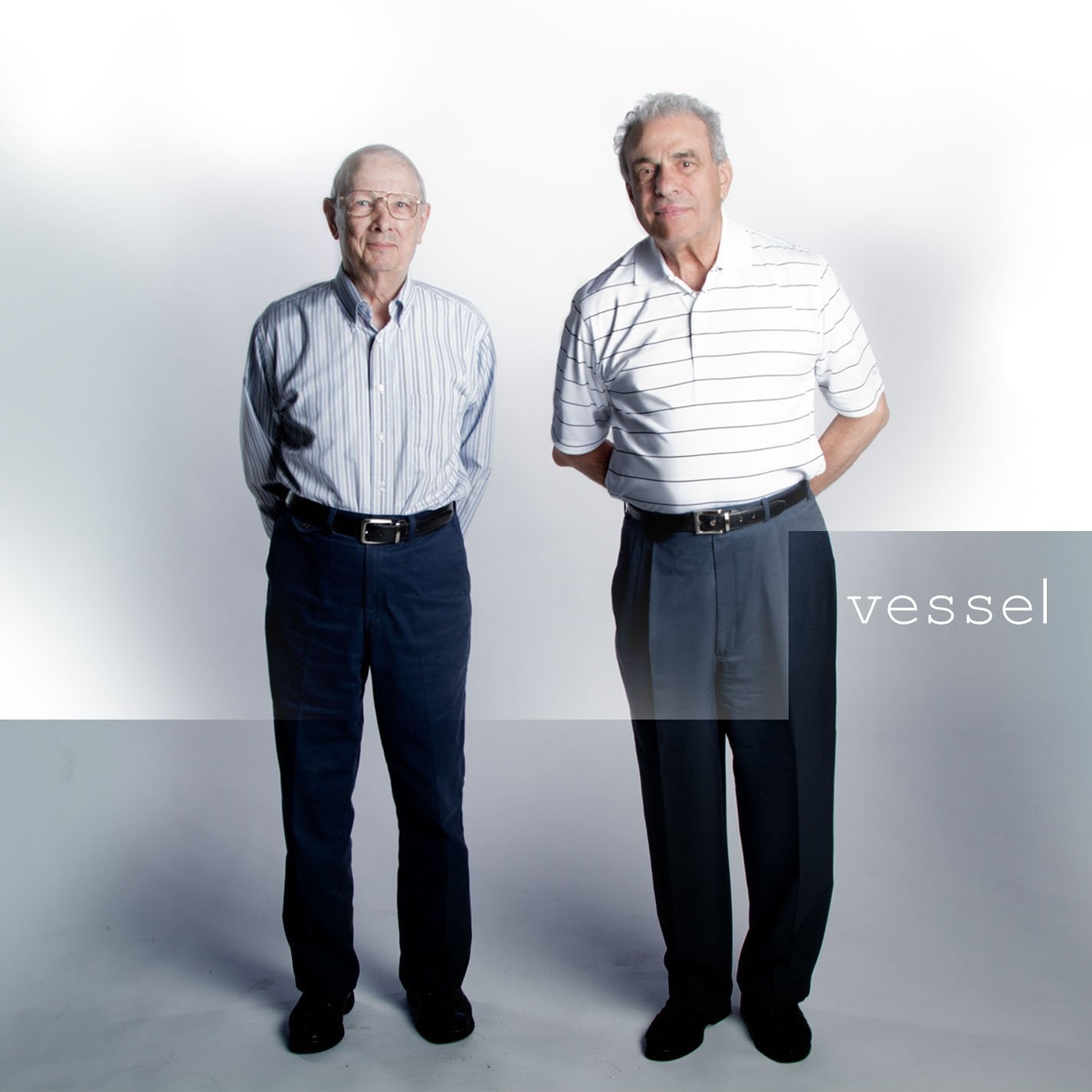 Twenty One Pilots Vessel LP Vinyl NEW
