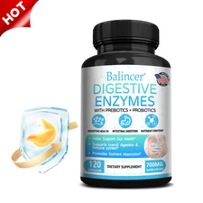 Digestive Enzyme Probiotics Probiotics Support Digestion and Immune System