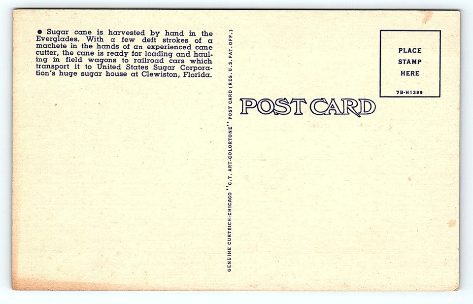1930s HARVESTING SUGAR CANE IN FLORIDA EVERGLADES UNPOSTED LINEN POSTCARD P6175 eBay