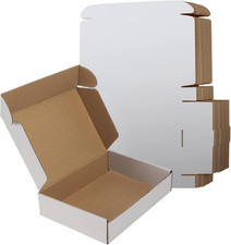 RLAVBL 9X6X2 Inches Shipping Boxes Set of 25, White Small Corrugated Cardboard B