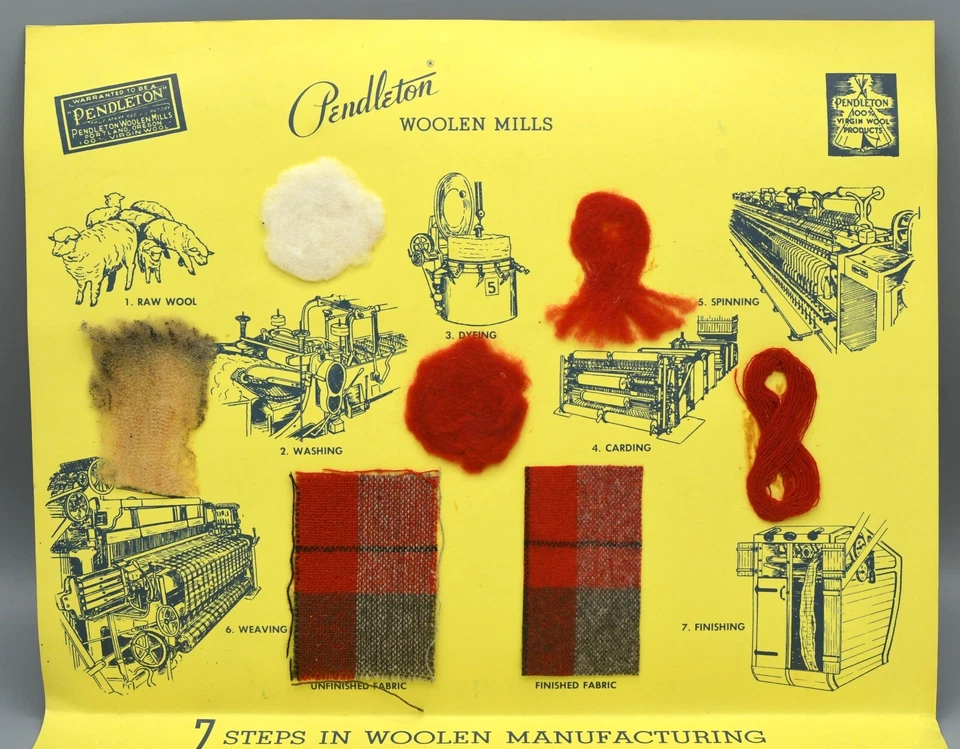 Шерстяная диаграмма Pendleton буклет письмо информационные листы винтажный 1954 учитель образовательный - Изображение 4 из 4