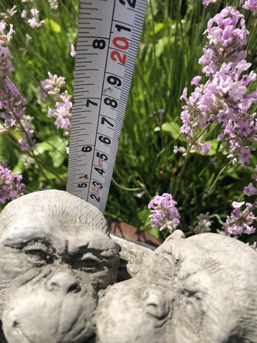 Concrete Kissing Monkeys Garden/Indoor Ornament - Picture 4 of 5