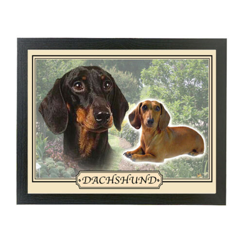 Auswahl Hunderasse Kissen Laptop Runde Abendessen Tablett Geschenk Jack Russell Labrador - Bild 45 von 116