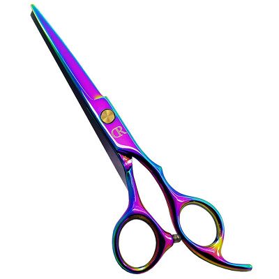 Professional Hair Cutting Shears,6 Inch Barber Hair Cutting Scissors Sharp Blade