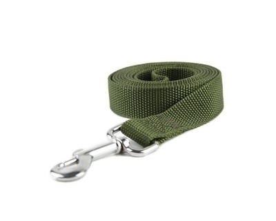 Nylon Dog Leash 10 Ft Long 1 Inch Wide Strong Medium Large Walking Training