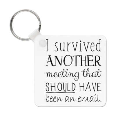 I Survived Another Meeting Should Have Been An Email Keyring Key Chain Ebay