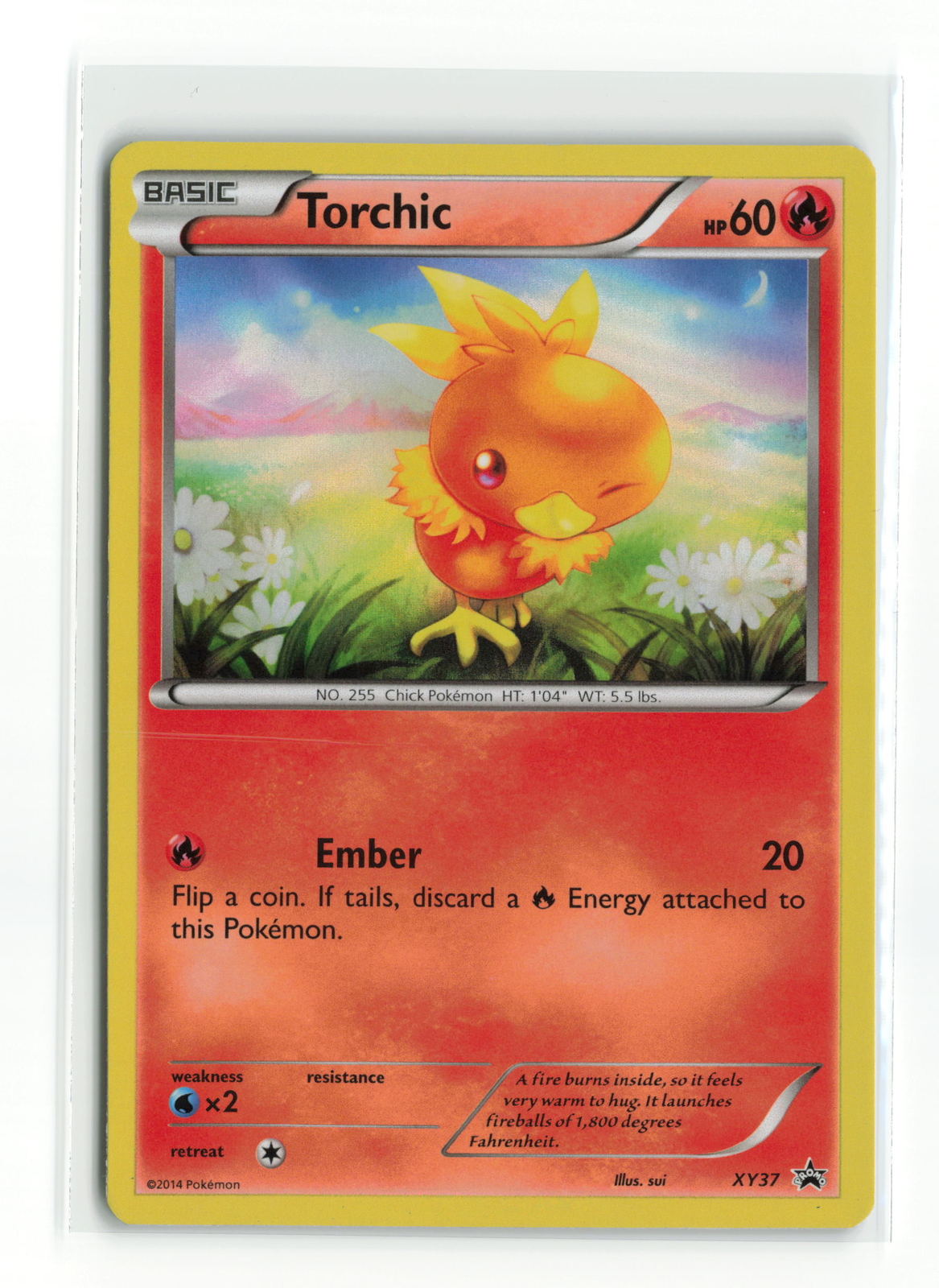 TORCHIC XY37 HOLO PROMO POKEMON TCG LP
