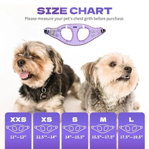 Dog Harness for Small and Medium Size Dogs, Soft XS (Chest:12.5"-14") Purple
