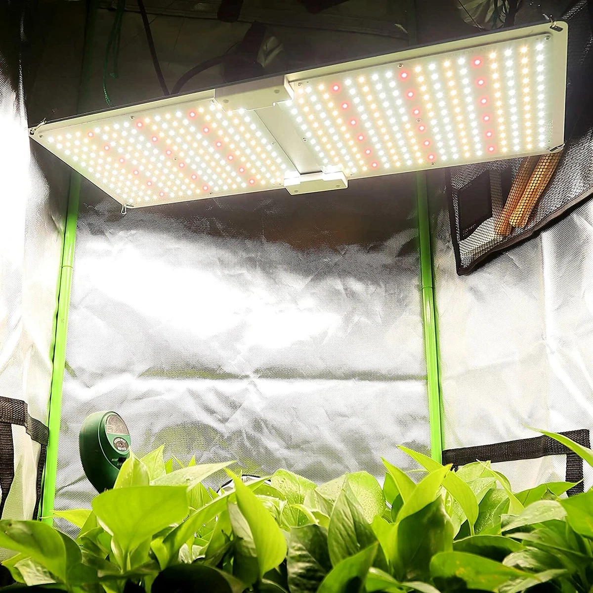 4x2 on sale grow light