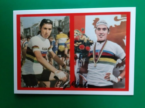 Vélo de course Eddy Merckx team Panasonic - Vélos