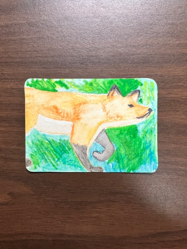 ACEO Wild Fox by Cady Fontana Art 2.5X3.5 ATC original WATERCOLOR painting