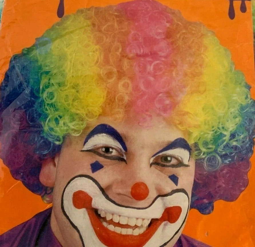 Rainbow wigs for sale deals