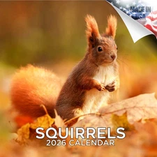 Squirrels Calendar 2026 FULL SIZE 12x24 Made in USA
