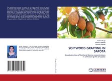 SOFTWOOD GRAFTING IN SAPOTA Nutan Ghuge
