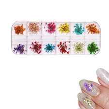 Nagelaufkleber: 12 St&uuml;ck Trockenblumen Nagelkunst, Nagel Getrocknete Blume, f&uuml;r
