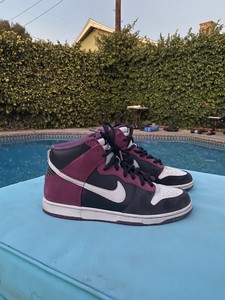 nike sb un heavens gate