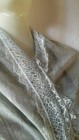 Foto 8 di 9