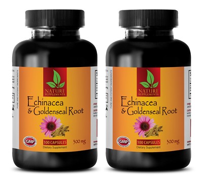 Echinacea & GoldenSeal Root 300mg 200 Caps - Help Stimulate Immune System -2 Bot