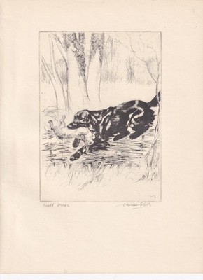 1930 LABRADOR RETRIEVER DOG Print - Antique - Vernon Stokes - 8.25 x 11 Inches