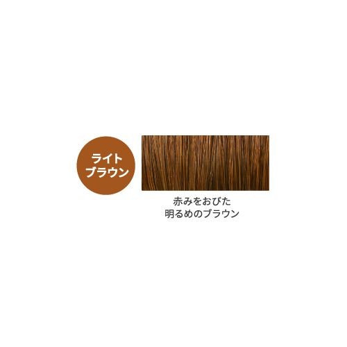 Stick (for Gray Hair) 4 Colors 23390