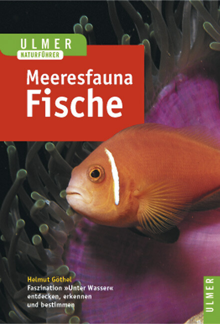Thumbnail - Helmut Göthel / Meeresfauna Rotes Meer, Indischer Ozean (malediven)
