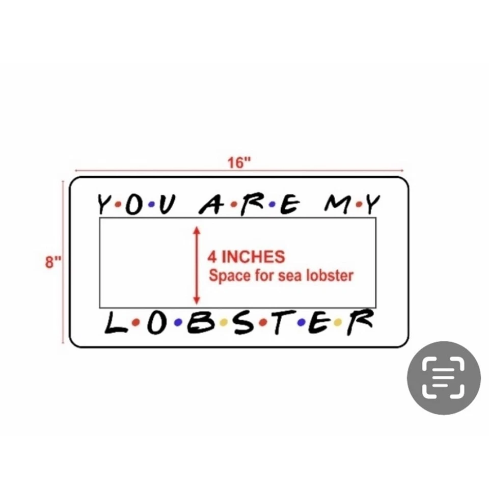 YOU ARE MY LOBSTER Lumbar Pillow FRIENDS TV FONT 8 x 16 Perfect Nap Pillow Cover - Image 2 of 4