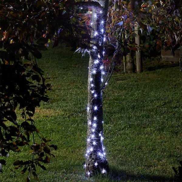 Firefly 2024 fairy lights