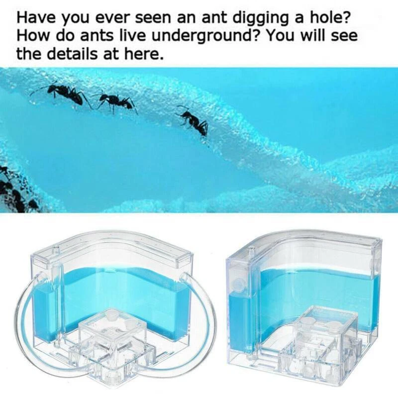 Nido de insectos de granja de hormigas 3D villa casa de mascotas sistema de alimentación azul ciencia educativo Foto 4 de 4