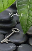 Wilfred Bastiani | My-Key | Buch | Englisch (2014) | Gebunden | [.]