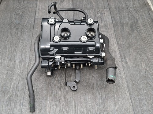 BMW F 900 XR 2022-2024 Zylinderkopf (Cylinder head) 201702654