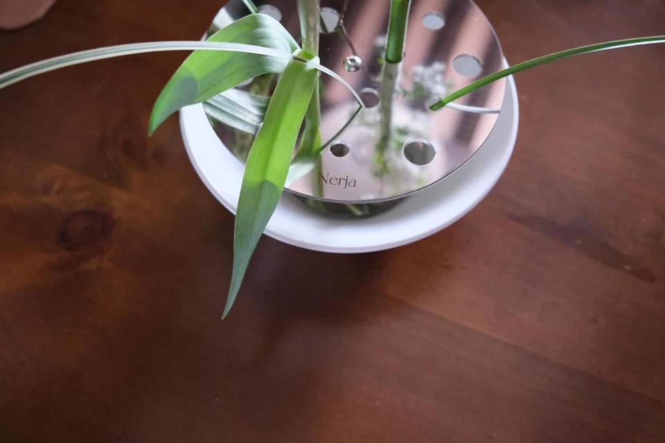 Jarrón de cerámica Nerja Ikebana con soporte para flores de acero inoxidable - Marfil redondo Foto 4 de 4