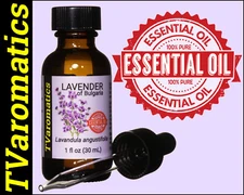 TVaromatics Lavender of Bulgaria 100% Pure Essential Oil Lavandula angustifolia