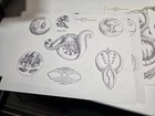 United Designs August Ellis Traditional Vintage Tattoo Flash Sheets 20 — photo 6