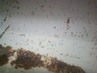 Bild 6 von 6