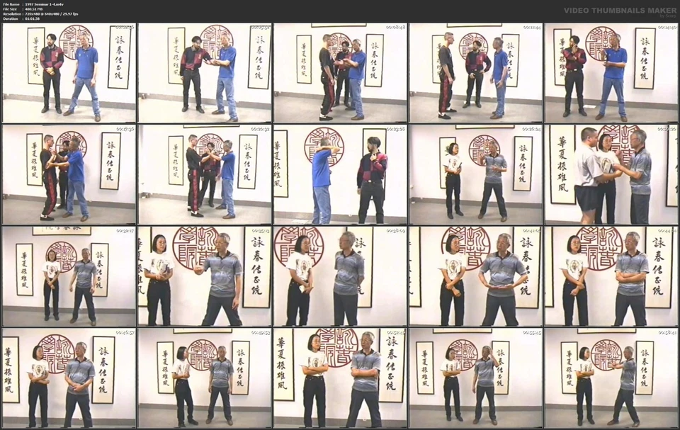 Chu Shong Tin's Intensive Wing Chun Seminar Series (9 DVD Set) Foto 4 de 4