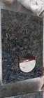 Bild 3 von 10