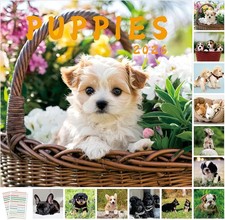 2026 Wall Calendar 12"x24" Opened, 14-Month Puppy Dog Calendar from November 202