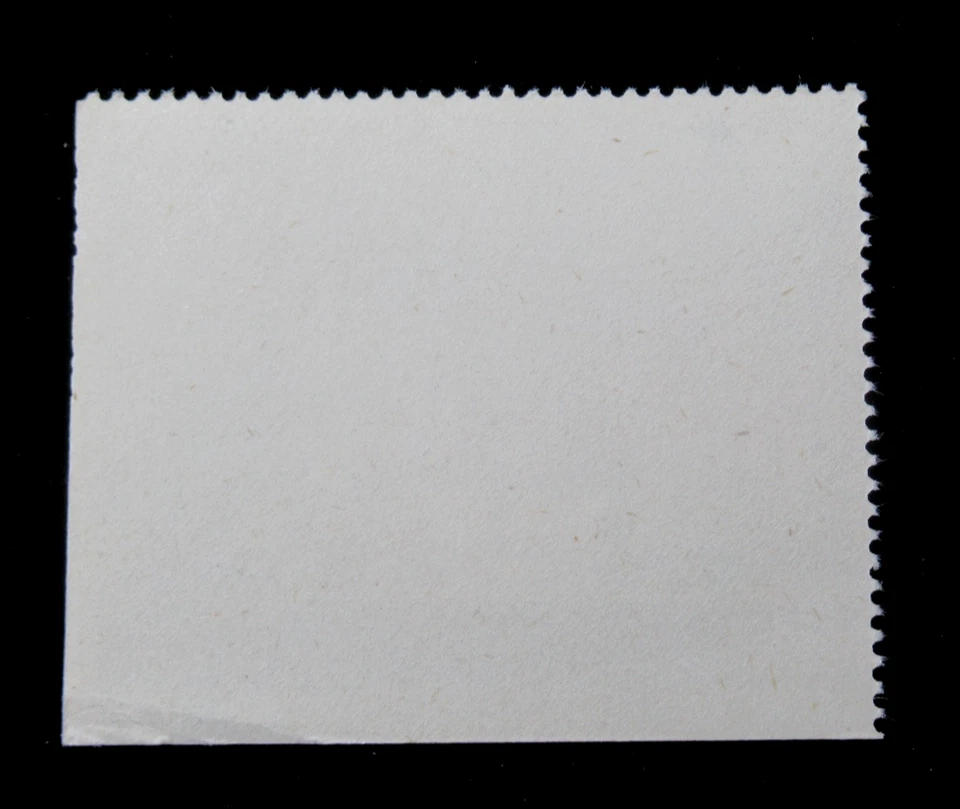 US Vintage Cinderella Stamp Boy Town Nebraska High School Dining Hall 1950s MNH - Image 2 of 3