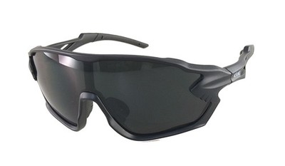 Alpland snow goggles mountain goggles sunglasses ski goggles polarized + Cat 4