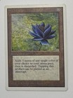Magic The Gathering Black Lotus Unlimited Nm/Lp conditions