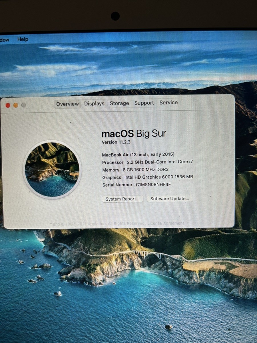 Apple 13
