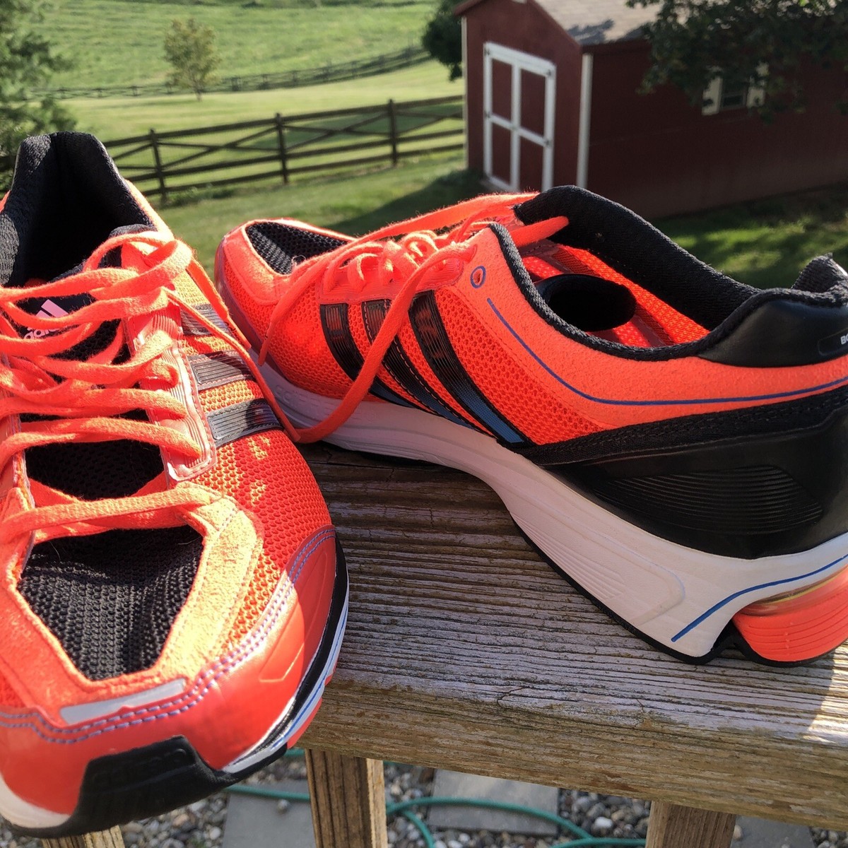 Adidas BOSTON 3 AdiZero Torsion System Continental Multi