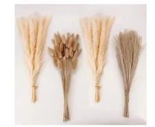 Natural Dried Pampas Grass Decor, Beige Pampas Grass, Bunny Tails Dried Flowers