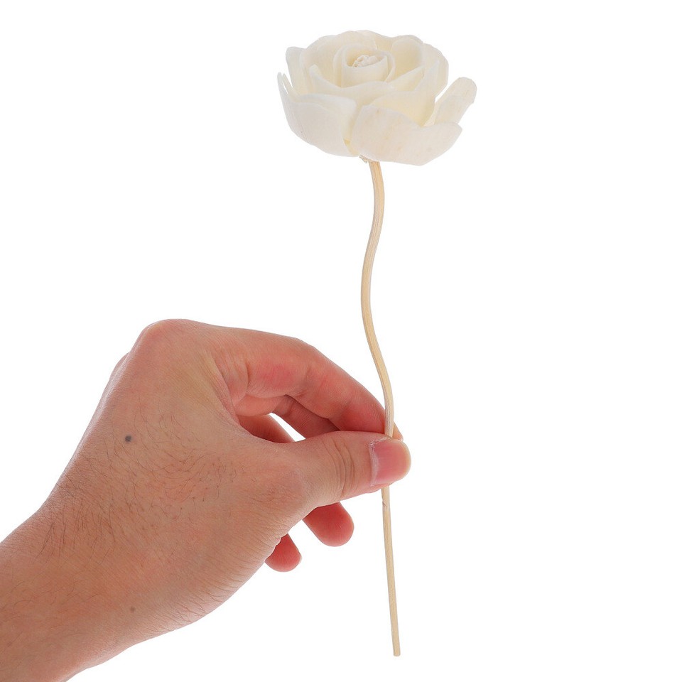 6 Pcs Perfume Diffuser Reed Refill Car Scents Air Freshener eBay