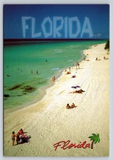Vintage Florida Beach Photochrome Postcard by The Postcard Factory