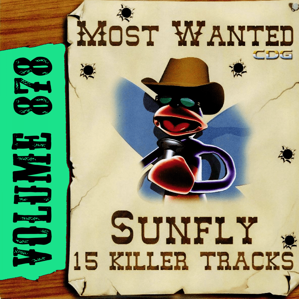 Karaoke CDG Most Wanted Vol 878 15 Hit Tracks Original CD+G Disc Sale