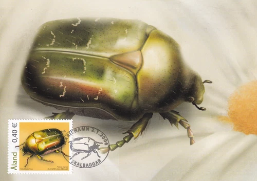 FINLAND ALAND 2006 THREE FIRST DAY COVERS ON MAXI CARDS, BEETLES