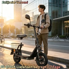 48V13AH Mit Straßenzulassung Scooter 30KM Range TWOFISH M5 PRO 12" …