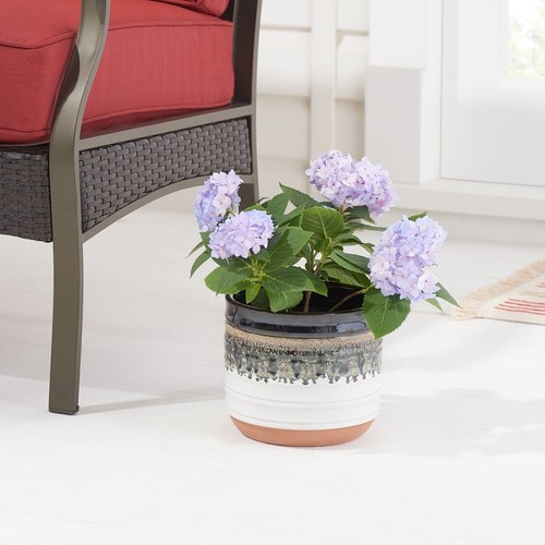 Ceramic Round Planter W/ Drainage Plug Indoor Outdoor Use Small Plants - Picture 5 of 9